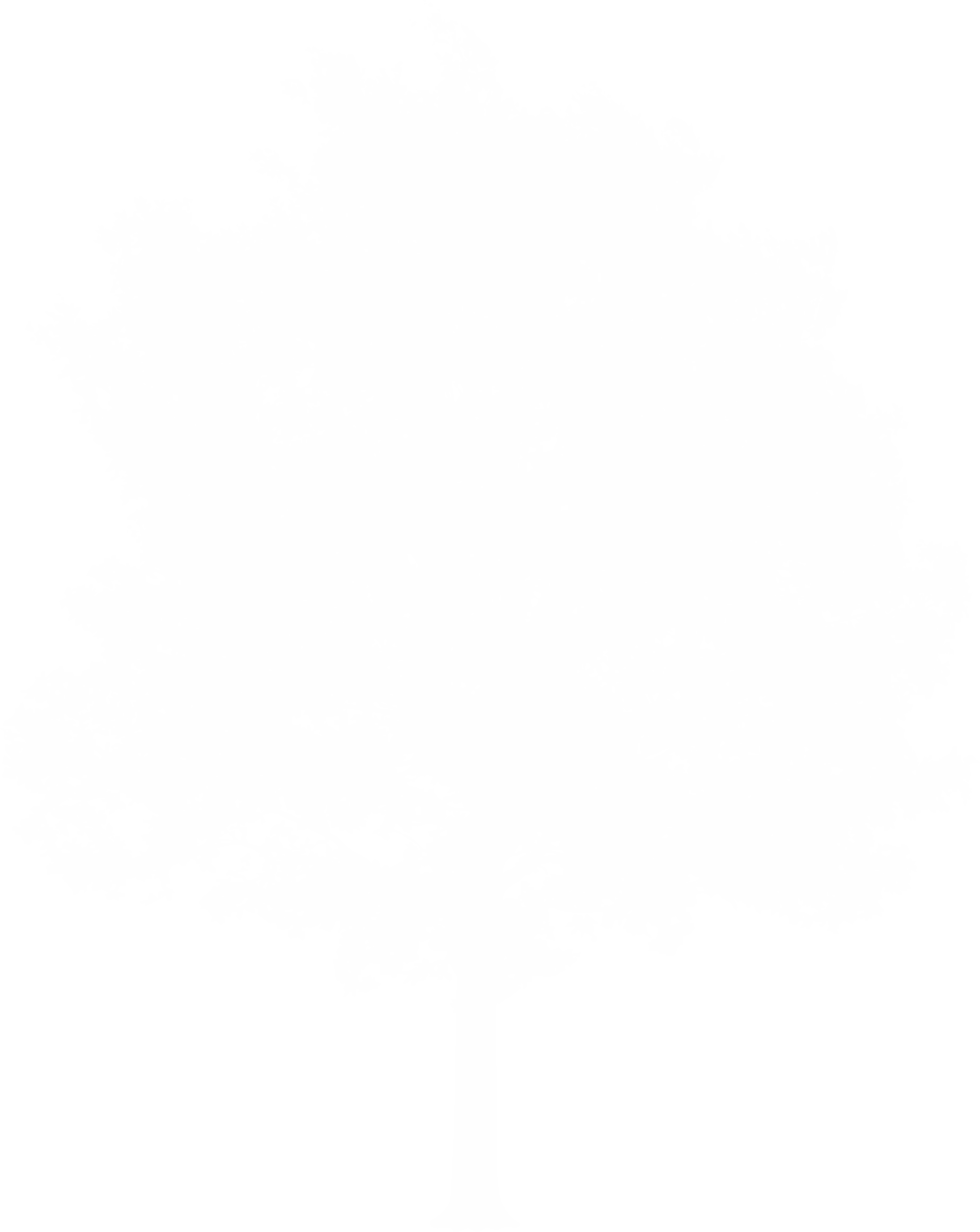 Tree - Pashtunkhwa milli awami party electoral symbol