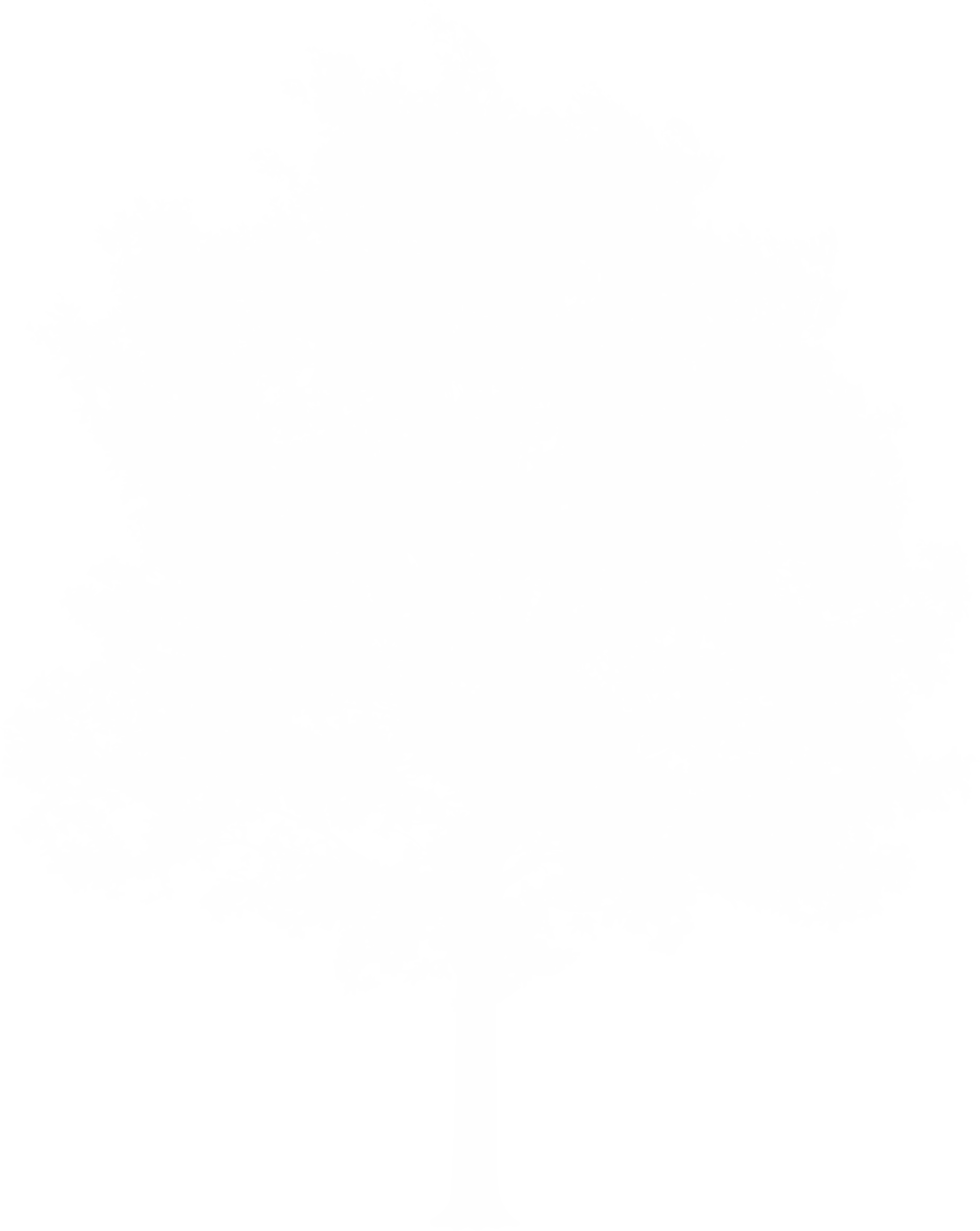 tree - Pashtunkhwa milli awami party Electoral symbol